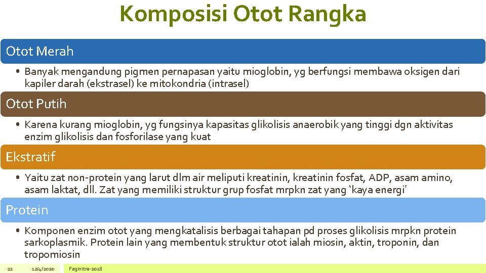 Komposisi Otot Rangka Otot Merah • Banyak mengandung pigmen pernapasan yaitu mioglobin, yg berfungsi