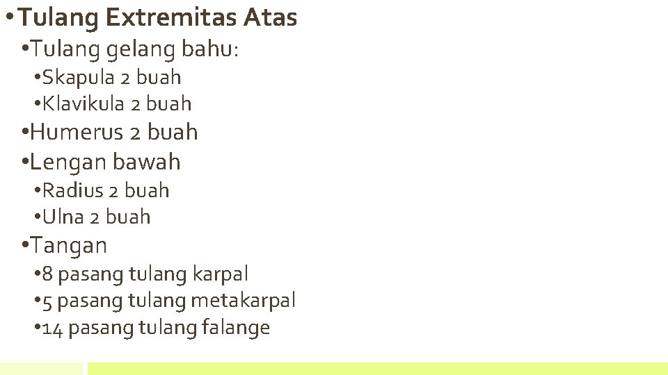 • Tulang Extremitas Atas • Tulang gelang bahu: • Skapula 2 buah • • Tulang Extremitas Atas • Tulang gelang bahu: • Skapula 2 buah •