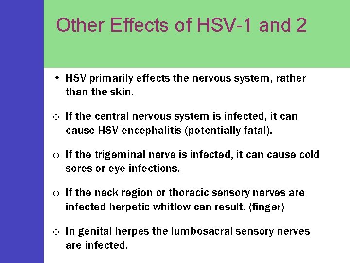 Other Effects of HSV-1 and 2 • HSV primarily effects the nervous system, rather