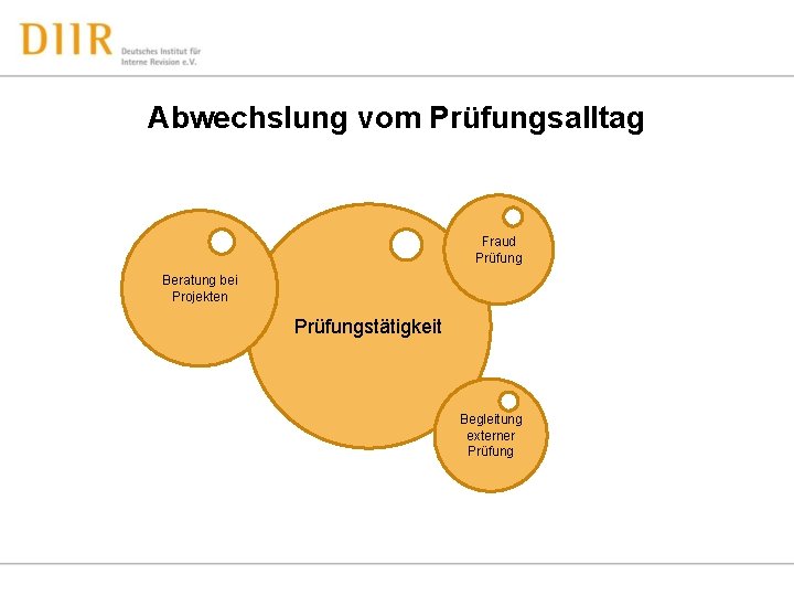 Abwechslung vom Prüfungsalltag Fraud Prüfung Beratung bei Projekten Prüfungstätigkeit Begleitung externer Prüfung 