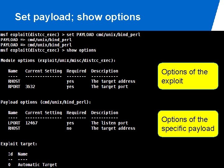 Set payload; show options Options of the exploit Options of the specific payload /