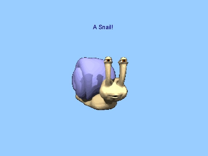 A Snail! A Snail!