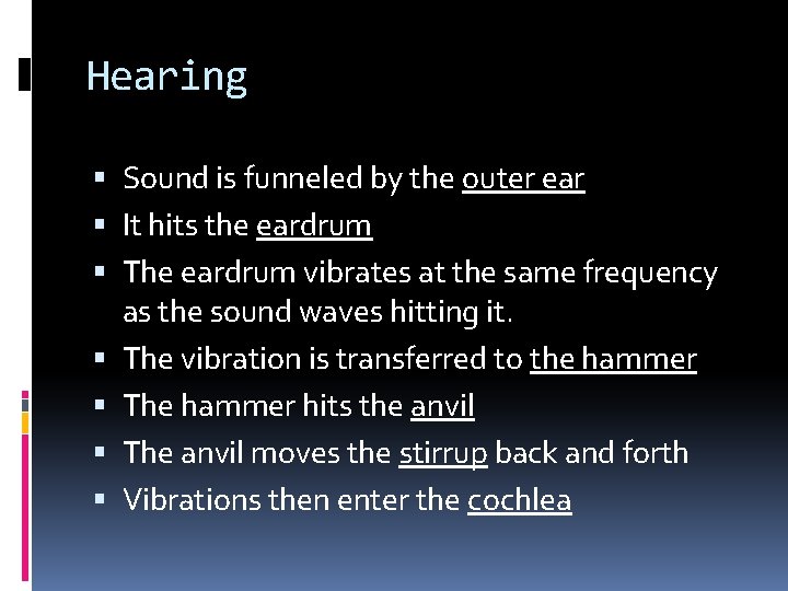 Hearing Sound is funneled by the outer ear It hits the eardrum The eardrum