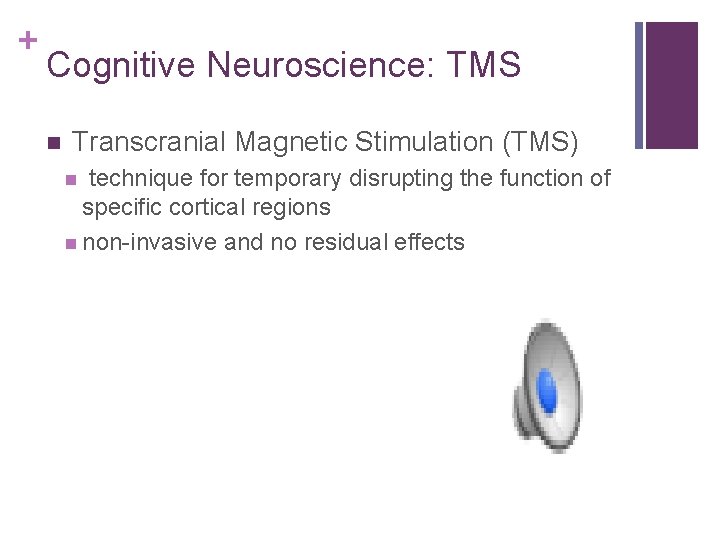 + Cognitive Neuroscience: TMS n Transcranial Magnetic Stimulation (TMS) n technique for temporary disrupting