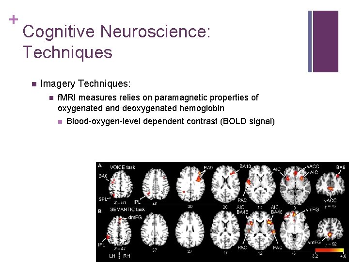 + Cognitive Neuroscience: Techniques n Imagery Techniques: n f. MRI measures relies on paramagnetic