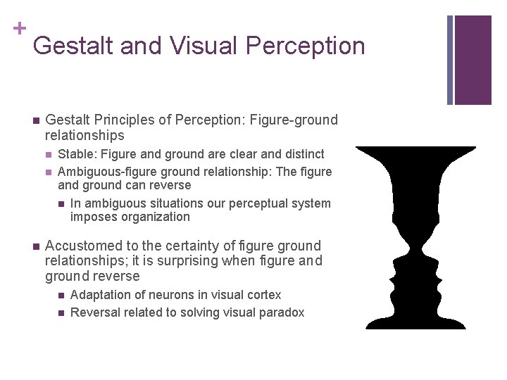 + Gestalt and Visual Perception n Gestalt Principles of Perception: Figure-ground relationships n n