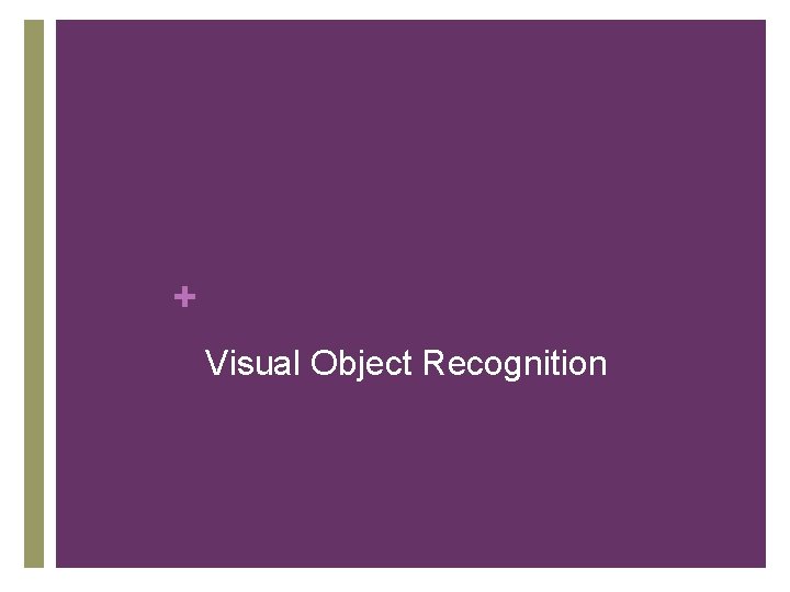 + Visual Object Recognition 