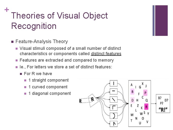 + Theories of Visual Object Recognition n Feature-Analysis Theory n Visual stimuli composed of