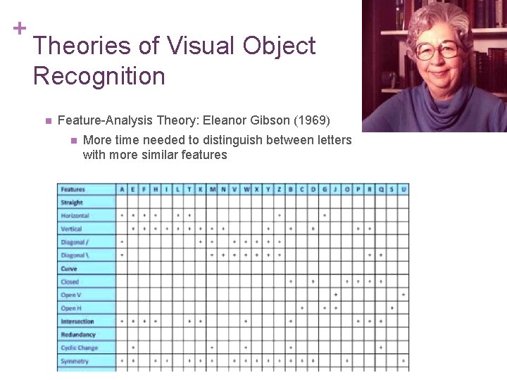 + Theories of Visual Object Recognition n Feature-Analysis Theory: Eleanor Gibson (1969) n More