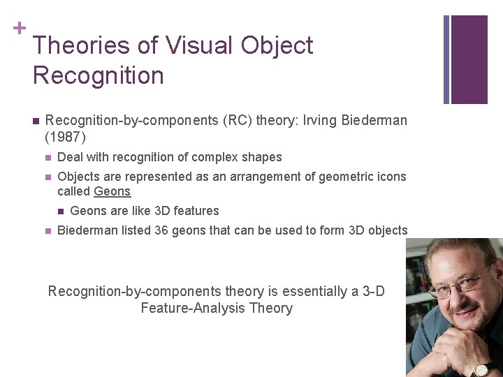 + Theories of Visual Object Recognition n Recognition-by-components (RC) theory: Irving Biederman (1987) n