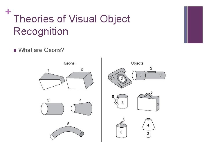 + Theories of Visual Object Recognition n What are Geons? 