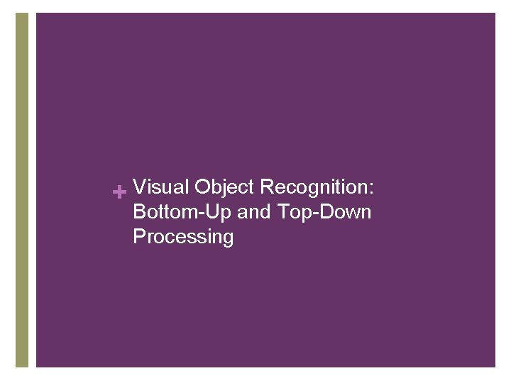 + Visual Object Recognition: Bottom-Up and Top-Down Processing 