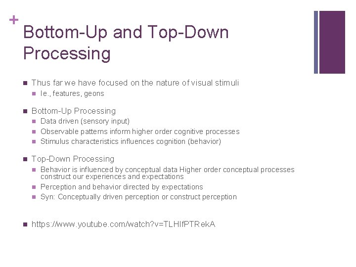 + Bottom-Up and Top-Down Processing n Thus far we have focused on the nature