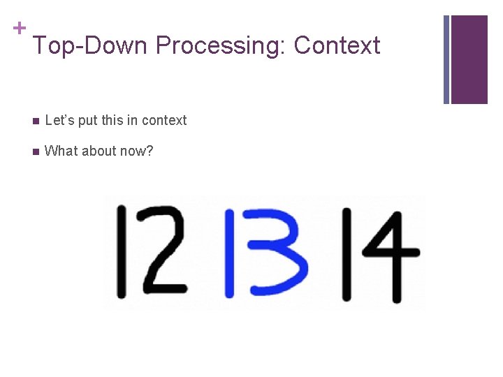 + Top-Down Processing: Context n Let’s put this in context n What about now?