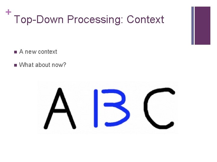 + Top-Down Processing: Context n A new context n What about now? 