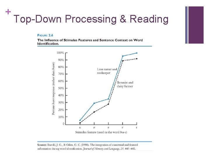 + Top-Down Processing & Reading 