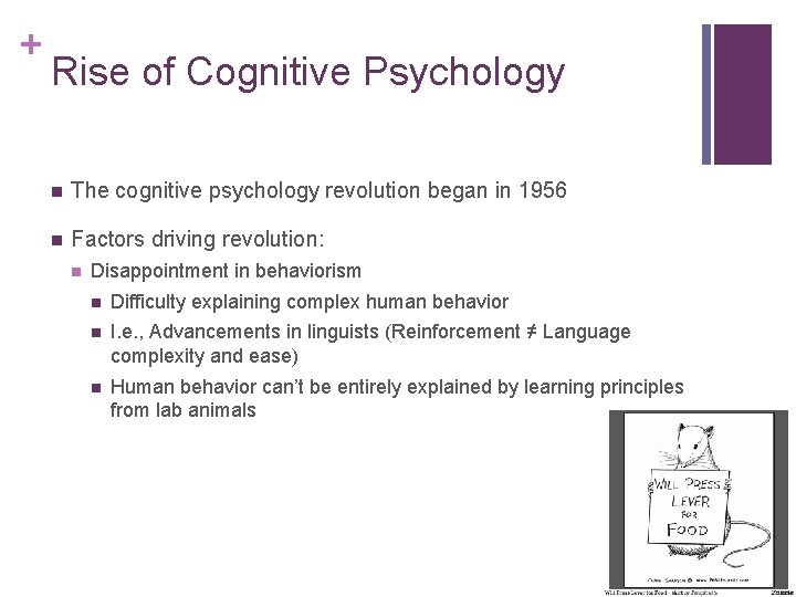 + Rise of Cognitive Psychology n The cognitive psychology revolution began in 1956 n