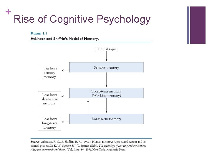 + Rise of Cognitive Psychology + Rise of Cognitive Psychology