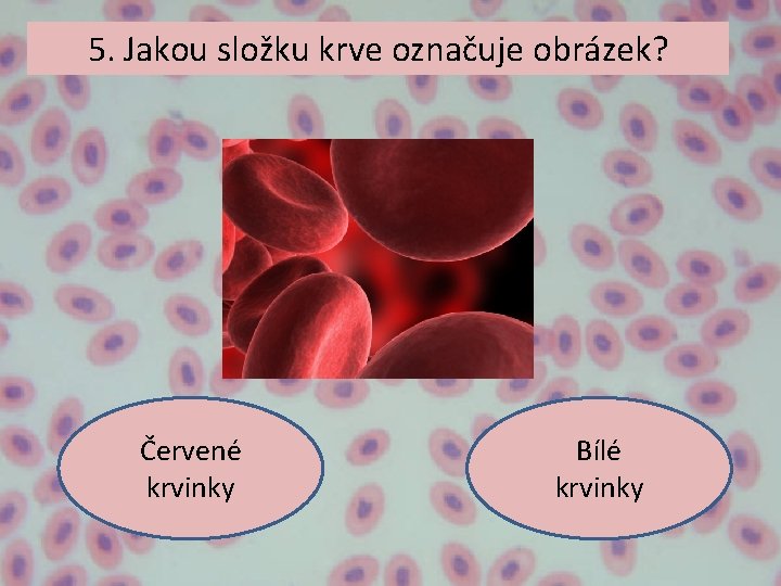 5. Jakou složku krve označuje obrázek? Červené krvinky Bílé krvinky 