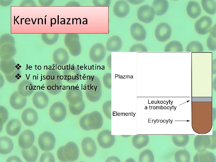 Krevní plazma v Je to nažloutlá tekutina v V ní jsou rozpuštěny různé ochranné Krevní plazma v Je to nažloutlá tekutina v V ní jsou rozpuštěny různé ochranné
