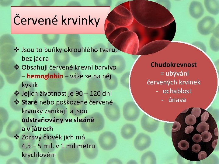 Červené krvinky v Jsou to buňky okrouhlého tvaru, bez jádra v Obsahují červené krevní Červené krvinky v Jsou to buňky okrouhlého tvaru, bez jádra v Obsahují červené krevní