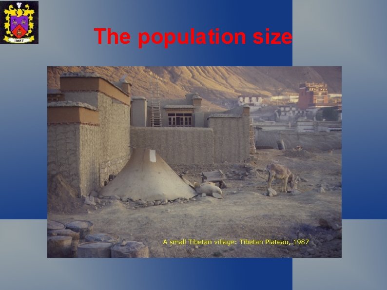 The population size 