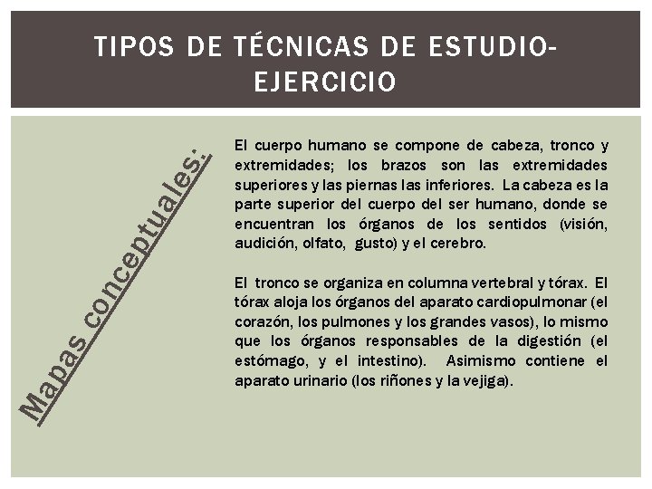 Ma pa sc on ce pt ua les : TIPOS DE TÉCNICAS DE ESTUDIOEJERCICIO