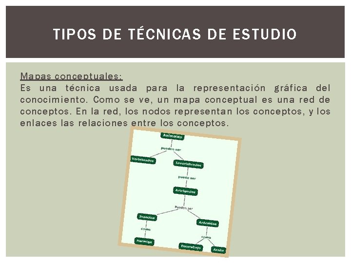 TIPOS DE TÉCNICAS DE ESTUDIO Mapas conceptuales: Es una técnica usada para la representación