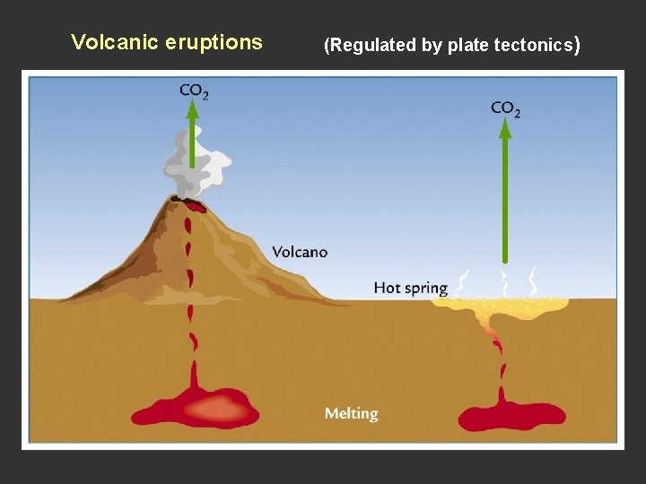 Volcanic eruptions (Regulated by plate tectonics) Volcanic eruptions (Regulated by plate tectonics)