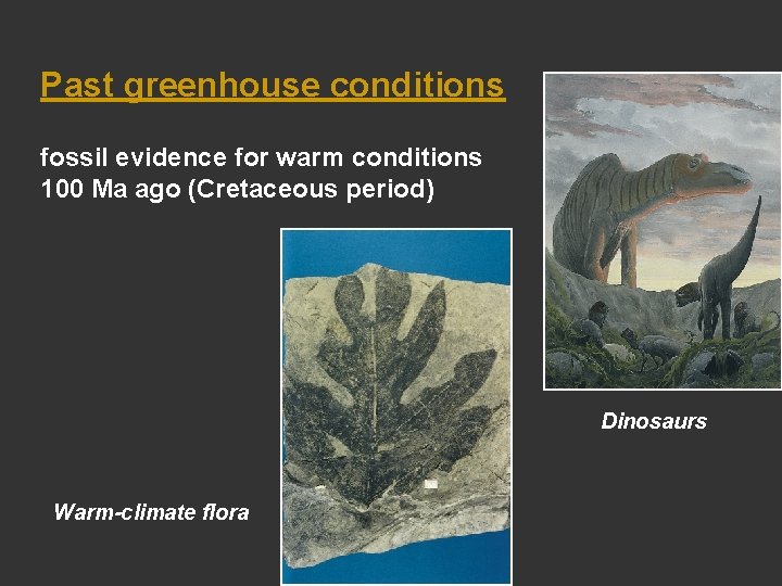 Past greenhouse conditions fossil evidence for warm conditions 100 Ma ago (Cretaceous period) Dinosaurs Past greenhouse conditions fossil evidence for warm conditions 100 Ma ago (Cretaceous period) Dinosaurs