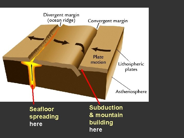 Seafloor spreading here Subduction & mountain building here Seafloor spreading here Subduction & mountain building here