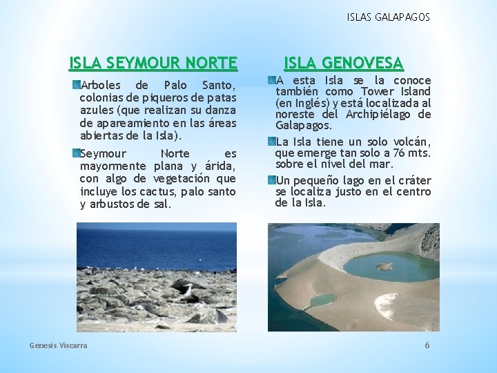 ISLAS GALAPAGOS ISLA SEYMOUR NORTE Arboles de Palo Santo, colonias de piqueros de patas ISLAS GALAPAGOS ISLA SEYMOUR NORTE Arboles de Palo Santo, colonias de piqueros de patas