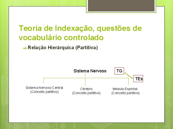 Teoria de Indexação, questões de vocabulário controlado Relação Hierárquica (Partitiva) Sistema Nervoso TG TEs