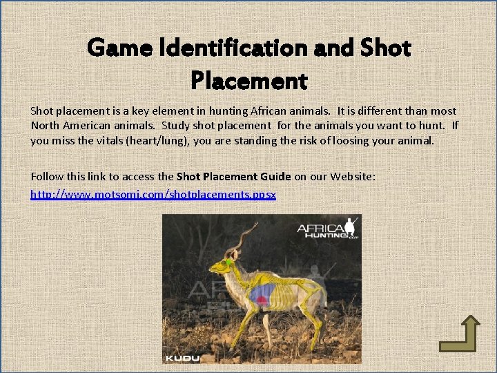 Game Identification and Shot Placement Shot placement is a key element in hunting African