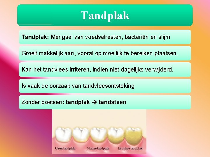 Tandplak: Mengsel van voedselresten, bacteriën en slijm Groeit makkelijk aan, vooral op moeilijk te