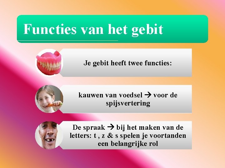 Functies van het gebit Je gebit heeft twee functies: kauwen van voedsel voor de