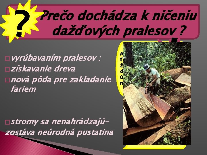 ? Prečo dochádza k ničeniu dažďových pralesov ? � vyrúbavaním pralesov : � získavanie