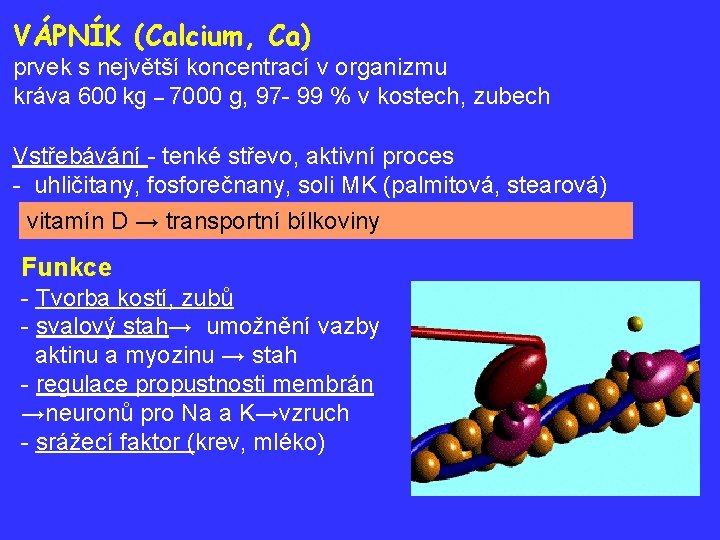 VÁPNÍK (Calcium, Ca) prvek s největší koncentrací v organizmu kráva 600 kg – 7000