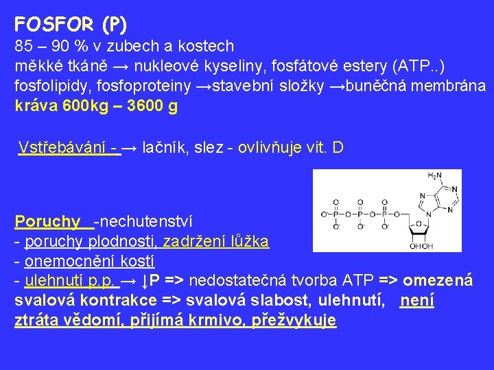 FOSFOR (P) 85 – 90 % v zubech a kostech měkké tkáně → nukleové