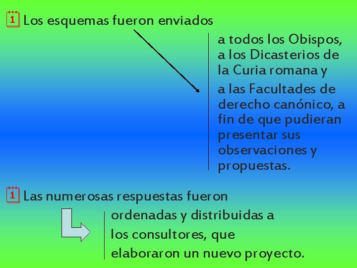 ¦Los esquemas fueron enviados a todos los Obispos, a los Dicasterios de la Curia