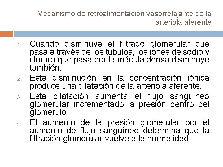 Mecanismo de retroalimentación vasorrelajante de la arteriola aferente 1. 2. 3. 4. Cuando disminuye