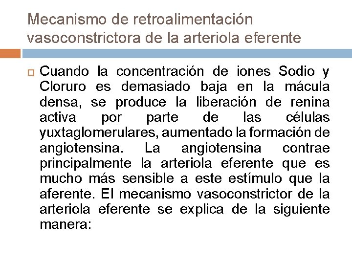 Mecanismo de retroalimentación vasoconstrictora de la arteriola eferente Cuando la concentración de iones Sodio