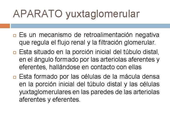 APARATO yuxtaglomerular Es un mecanismo de retroalimentación negativa que regula el flujo renal y
