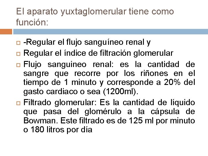 El aparato yuxtaglomerular tiene como función: -Regular el flujo sanguíneo renal y Regular el