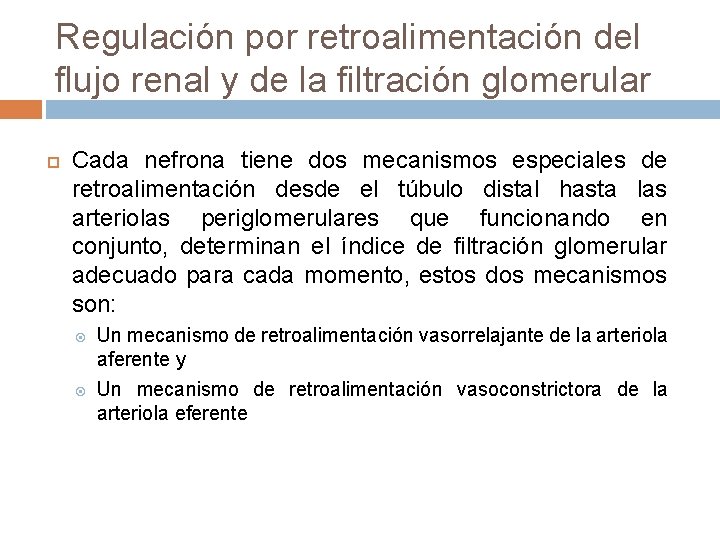 Regulación por retroalimentación del flujo renal y de la filtración glomerular Cada nefrona tiene