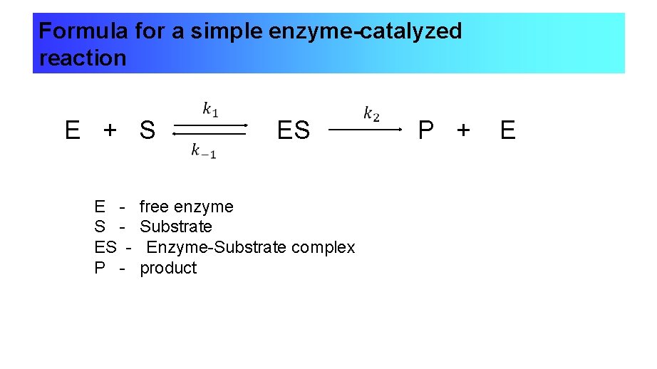 Formula for a simple enzyme-catalyzed reaction E + S ES P + E E