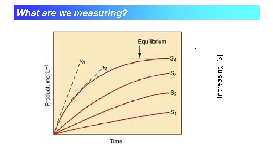 Increasing [S] What are we measuring? 