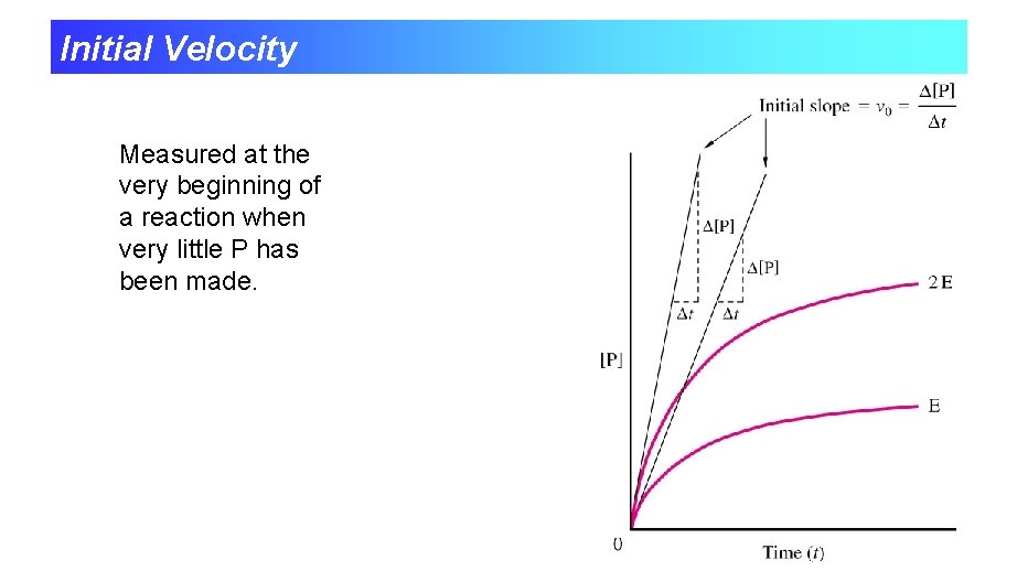 Initial Velocity Measured at the very beginning of a reaction when very little P