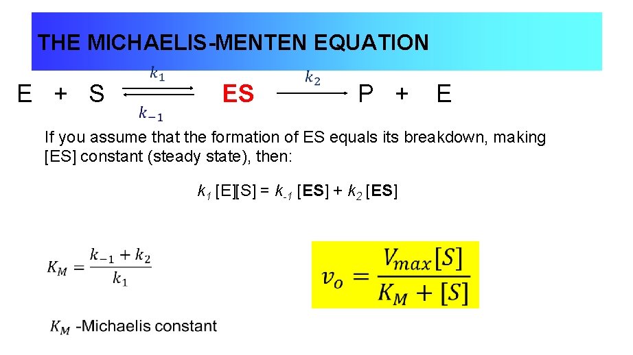 THE MICHAELIS-MENTEN EQUATION E + S ES P + E If you assume that