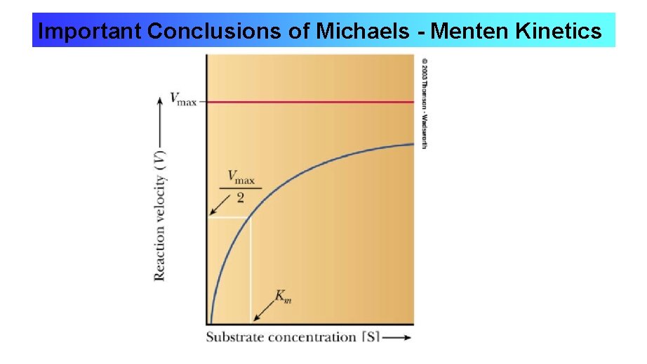 Important Conclusions of Michaels - Menten Kinetics 